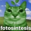funnyfish40