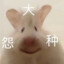 透明人77