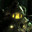 Subject Delta avatar