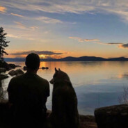 待到日落西山时