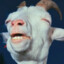 Stoned Goat