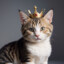 The crowned cat