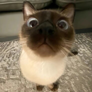 想喝布蕾脆脆奶芙