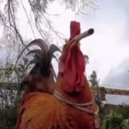 AnakBisulan