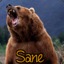 Bear1Sane8