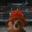 Paddington Bear