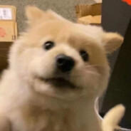 翻斗花园糕手老兵