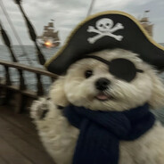 不知名网友小米儿