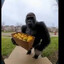 Gorilla Salesman