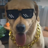 马克今天吃洋芋