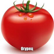 Tomato avatar