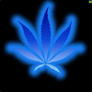 Paulinkkaa™ ===>T®N