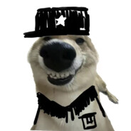 你们为什么不玩原神啊