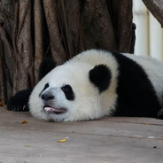 事已至此先吃饭吧