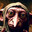 Dom Dobby