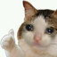 ok's avatar