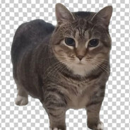 打瓦高手颅骨安宁