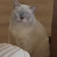 Ker