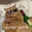 冷酷热情