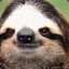 Generic Sloth