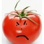 Tomate