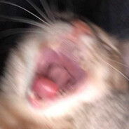 Hoovy's avatar
