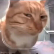 Sus シ