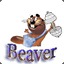 Beaver0k