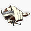 APpa