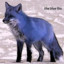 Blauer Fuchs