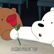 白熊明白 白熊也爱过
