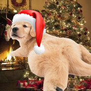 nefarious nuke main - steam id 76561198965113016