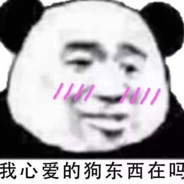 你是锤锤