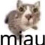 MIAU GAMING!!!!