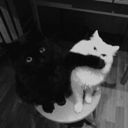 прикольная