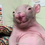 人类文明的开拓者