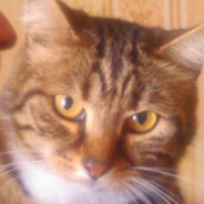 Zelet avatar