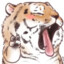 735