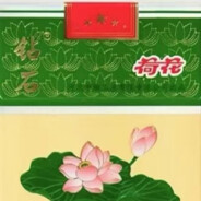 荷花抽出线你我不再相