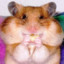🐹The_Hamik🐹