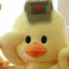 Chinese Duck