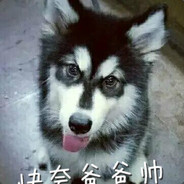 杨小哭