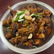 马达加斯加杜家鸡