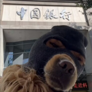 人参加红糖，嘎吱嘎吱吃冰糖