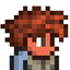 Terraria Terrarez
