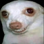 dasjhdsajdfsdhfkjashfdksajhaskf