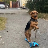 АЛЕКСАНДРУН