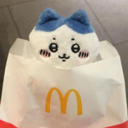 电脑玩家 尔多隆