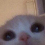 666бомбила666#MYRUST