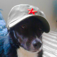 Comrade.Fritzzzz - steam id 76561199208640144